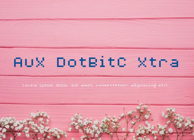 AuX DotBitC Xtra example